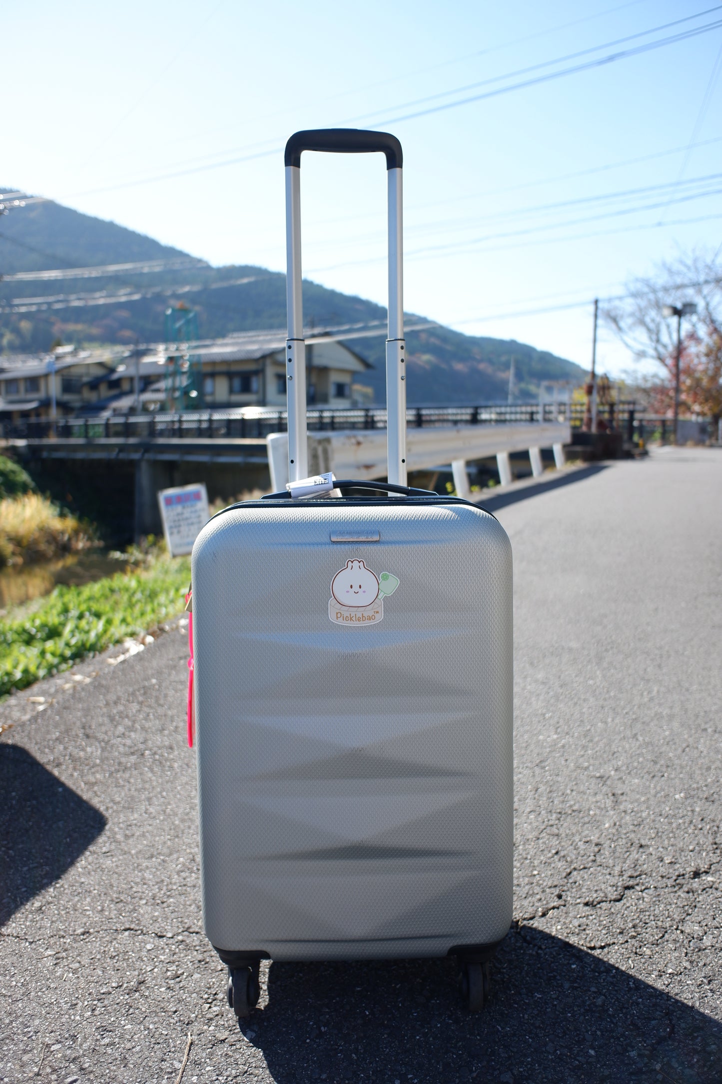 Picklebao™ Sticker 3"